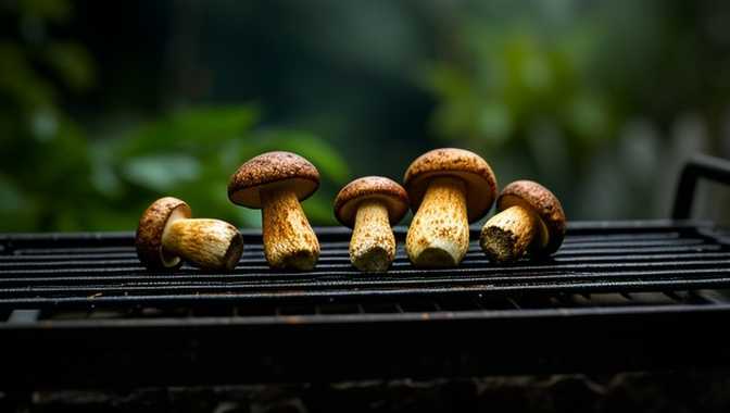 楚雄烤野生菌
